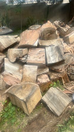 Eucalyptus Logs For Sale