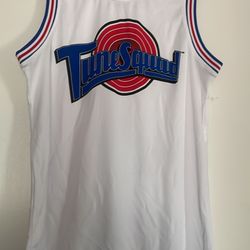 Tunes Squad Jersey 