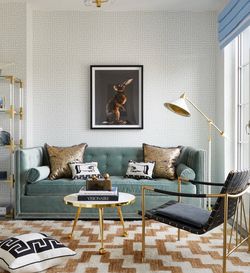 Sleeper Sofa – Like New!