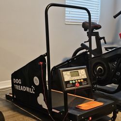 Dog Treadmill