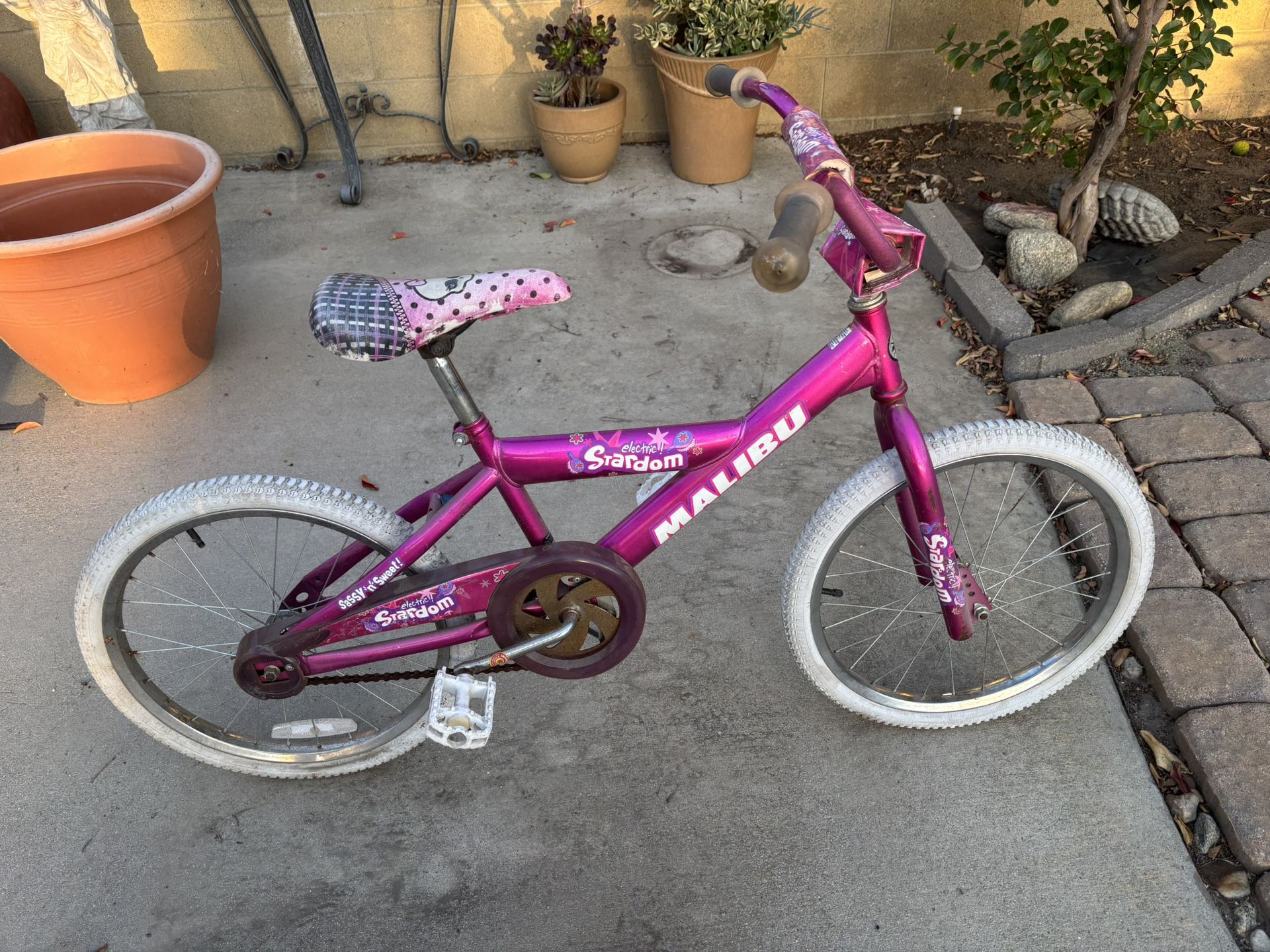 Girls 20 Inch Bike π