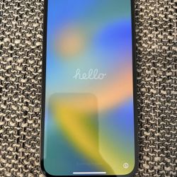 iPhone 12 Pro Max 256 GB Storage