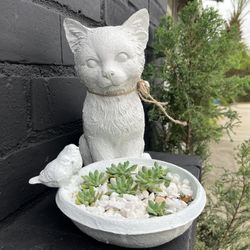 Succulents 