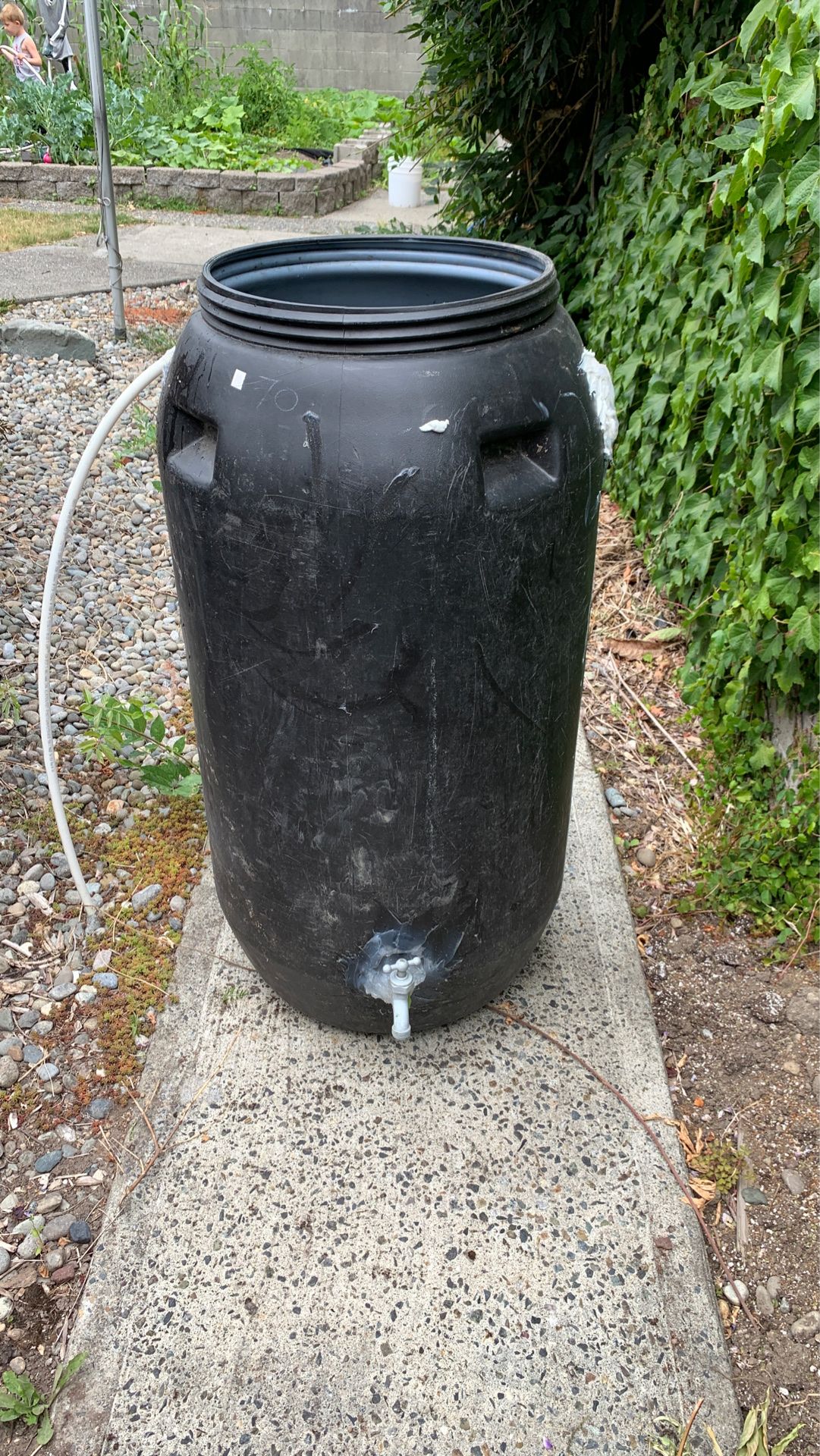 Free 50 gallon rain barrel