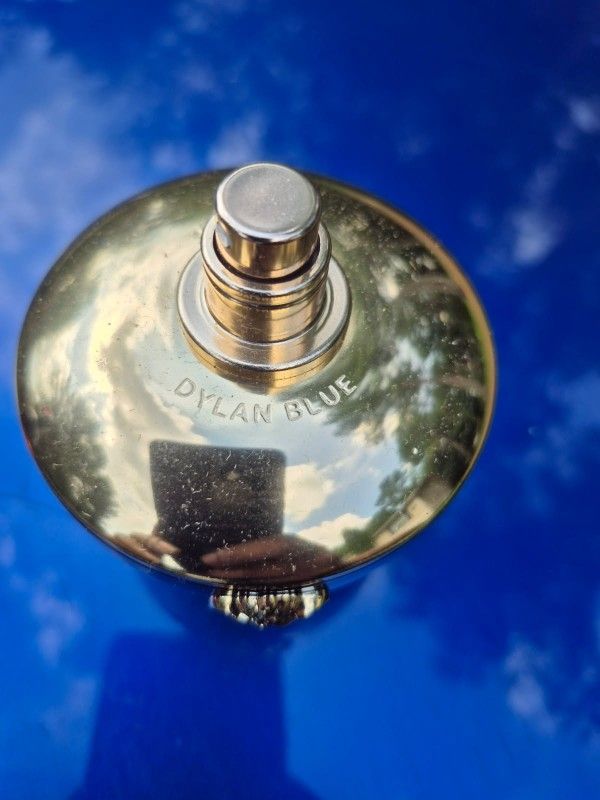 Design Perfume Versace Dylan Blue