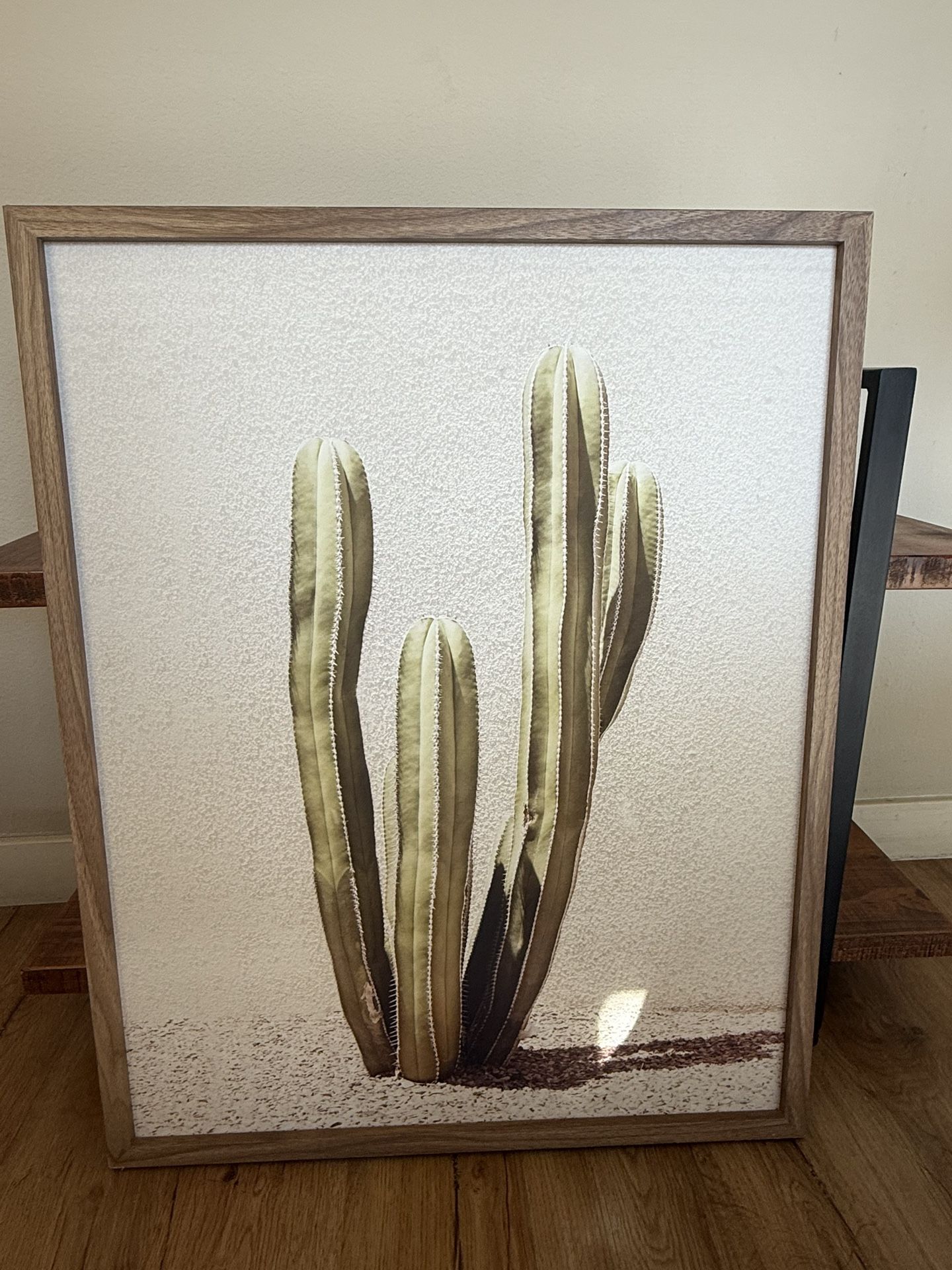 Cactus Wall Art