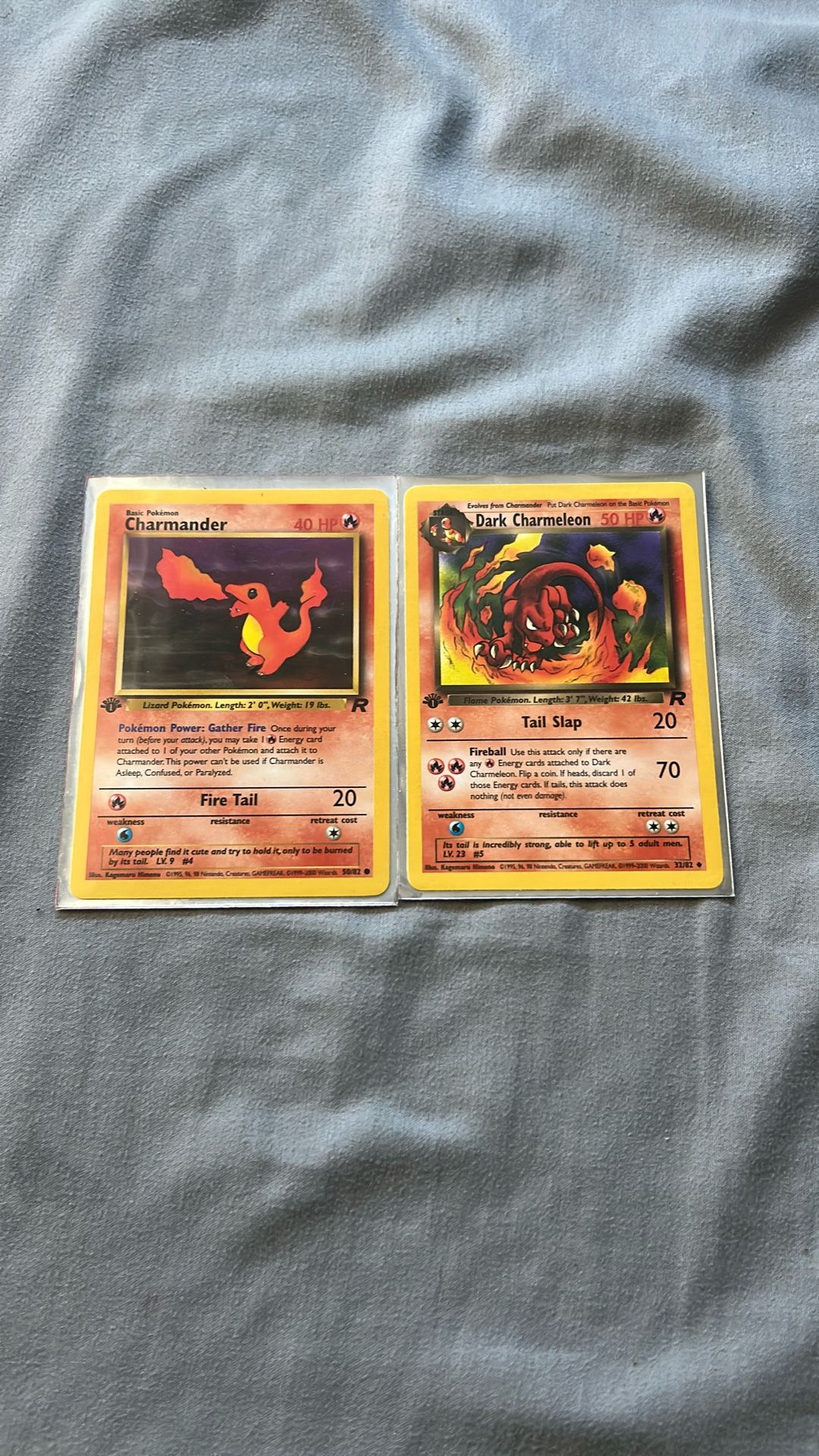Charmander and dark charmeleon