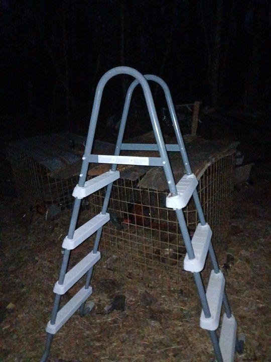 Pool Ladder