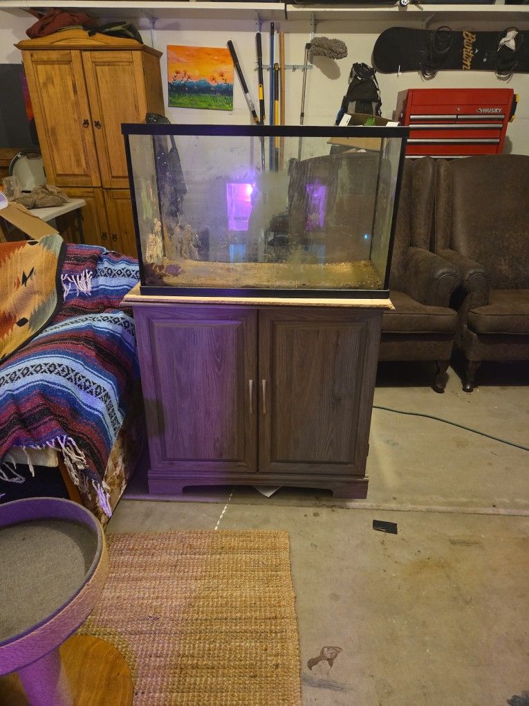 Fish Tank Stand And 30 Gallon Aquarium