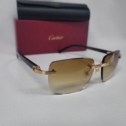 Cartier C Horn Sunglasses
