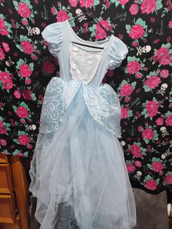Cinderella Costume 