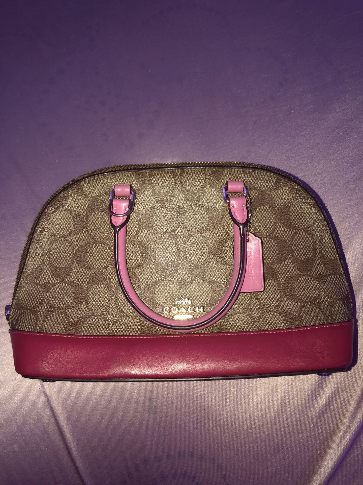 Coach Crossbody Mini Bag