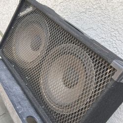 Guitar Speakers 