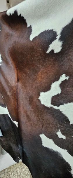 Cow Rug