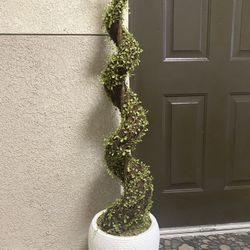 Plant