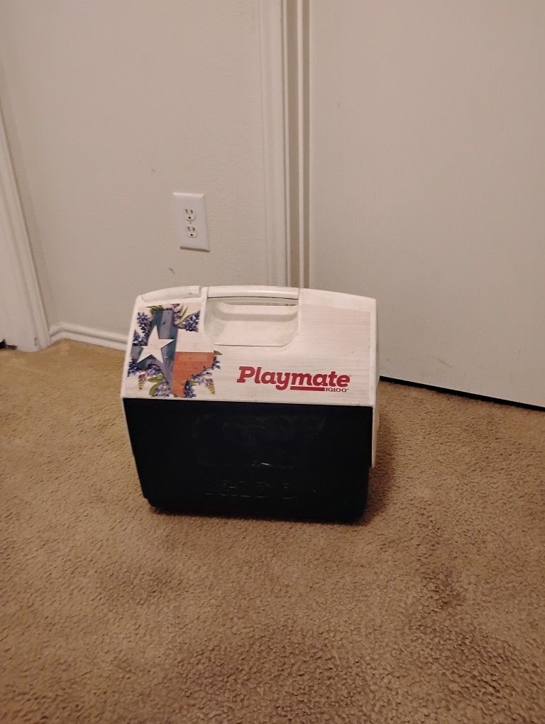 Igloo Playmate Cooler