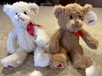 Valentines Teddy Bear