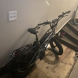 Dual Battery E-bike 