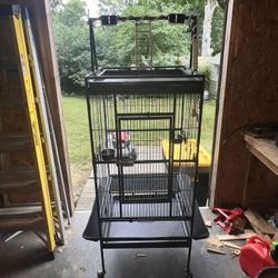 Bird Cage 