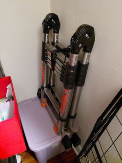 Telescoping Ladder