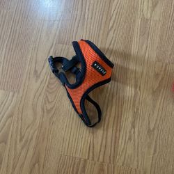 Small Dog Harness 