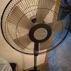 Holmes Oscillating Pedestal Fan 