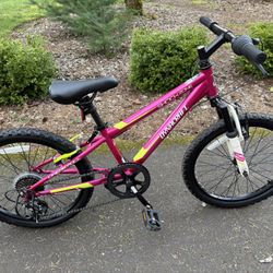 20” Dynacraft Bike 