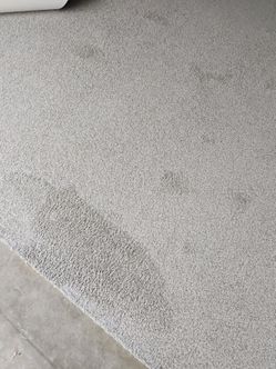 New carpet flooring