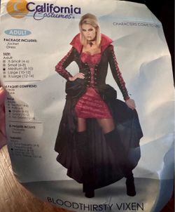 Womens Vampire costume