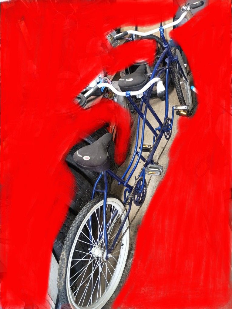 A cozy 2-seater bicycle 