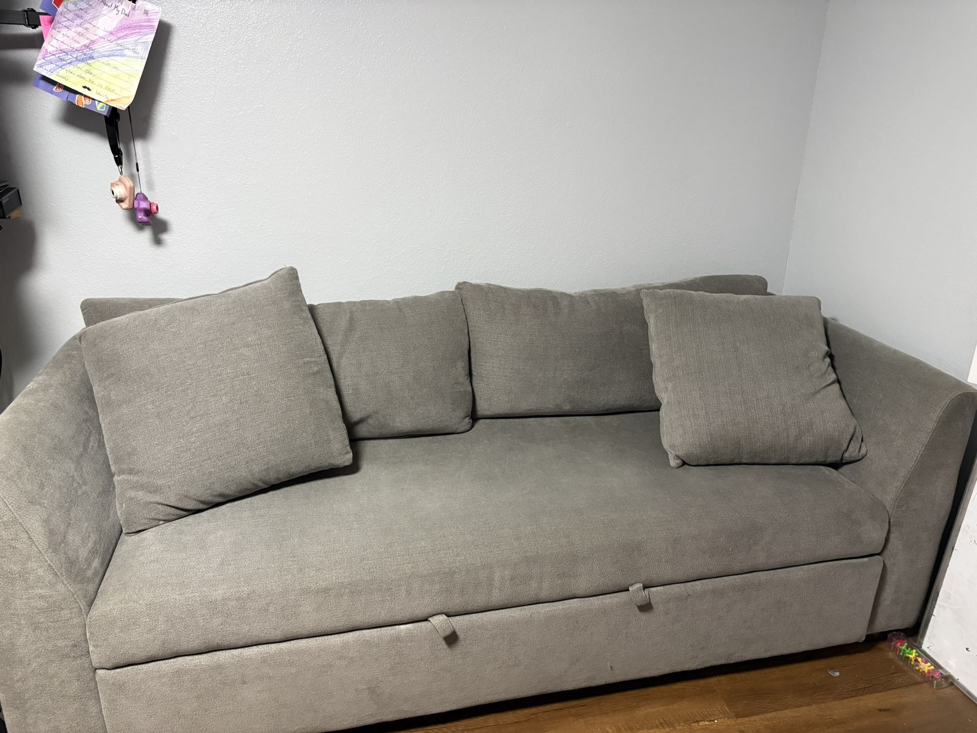 Costco Sleeper/ Couch