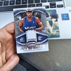 Brendan Haywood Basketball Card