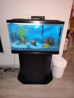 Fish tank
