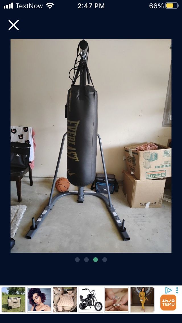 Everlasting Punching Bag & Stand