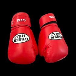 Boxing Gloves 