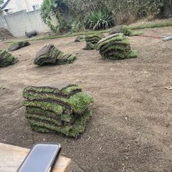 Grass And Sprinklers 
