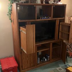 Entertainment Unit