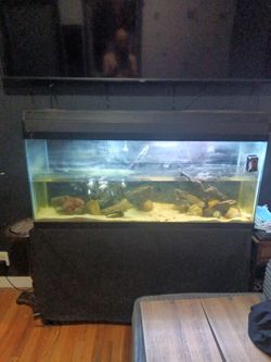 Tank and stand complete setup