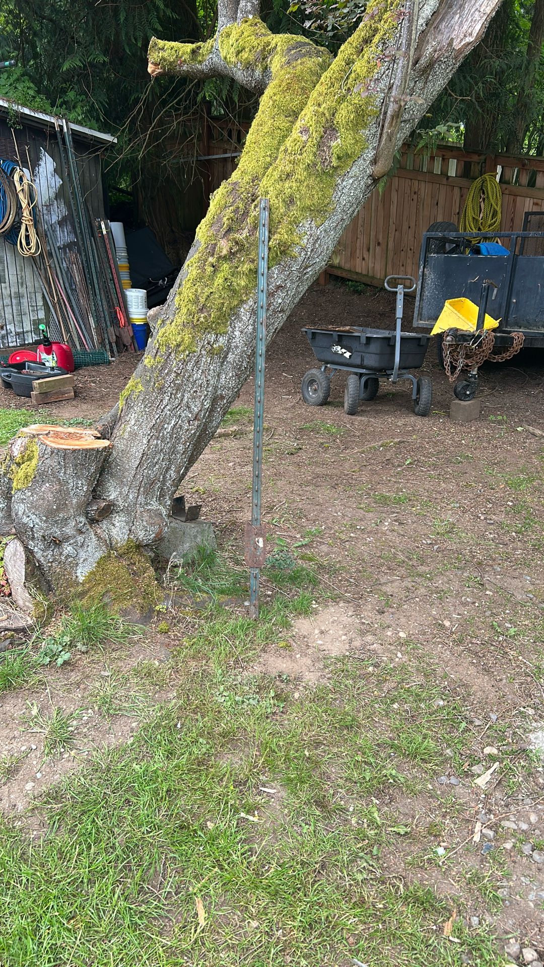 20, 5’ Solid Steel Fencing posts