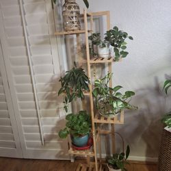 Bamboo 6-tier Plant Stand 