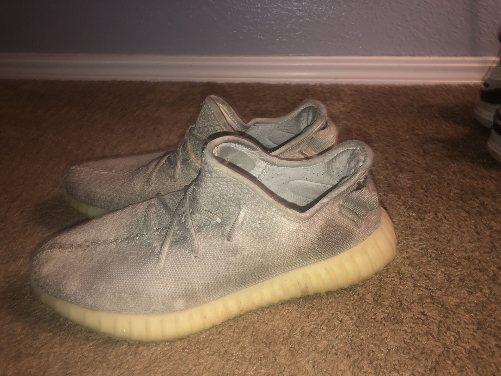 TurtleDove Yeezys Sz 9.5