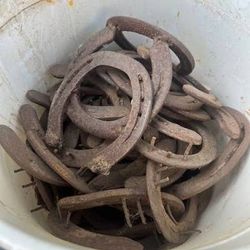 Old horse shoes
