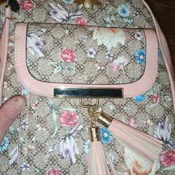 Female Back Pack/Purse Used Lil Stain But Looks Brand New.