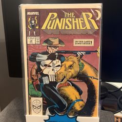 Punisher #19