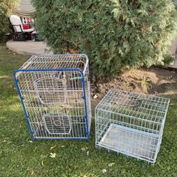 Dog And Bird Cage 