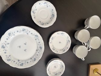 China Johann Haviland Set