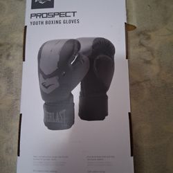 Youth Boxing Gloves Great For Beginners 