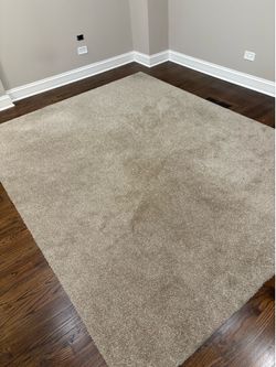Rug/carpet