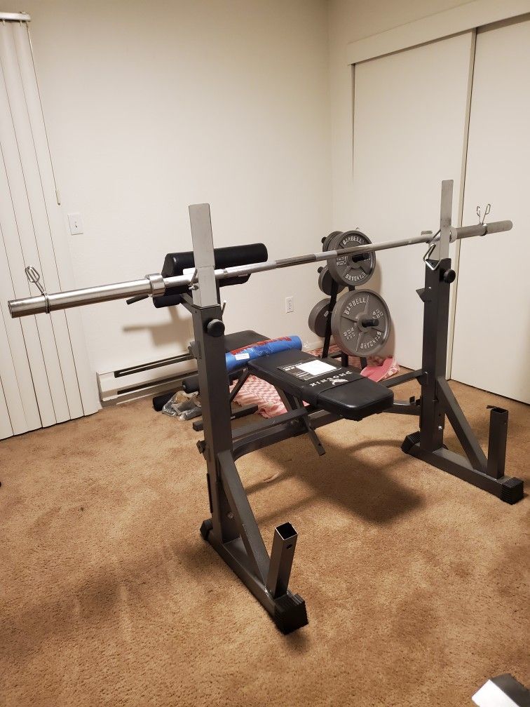 Phoenix HB-600 Bench, 7 Ft. Barbell, 300lb Olympic Weight Set and Weight Rack