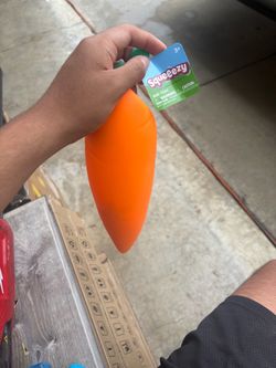 Carrot squishy